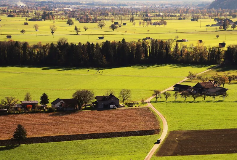 What Foreign Tourists See in America That Americans Have Completely Stopped Noticing